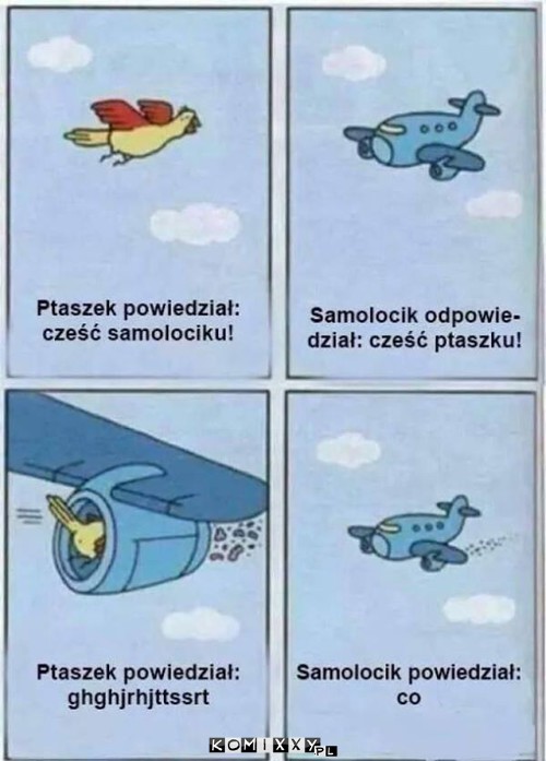 Ptaszek i Samolocik. –  